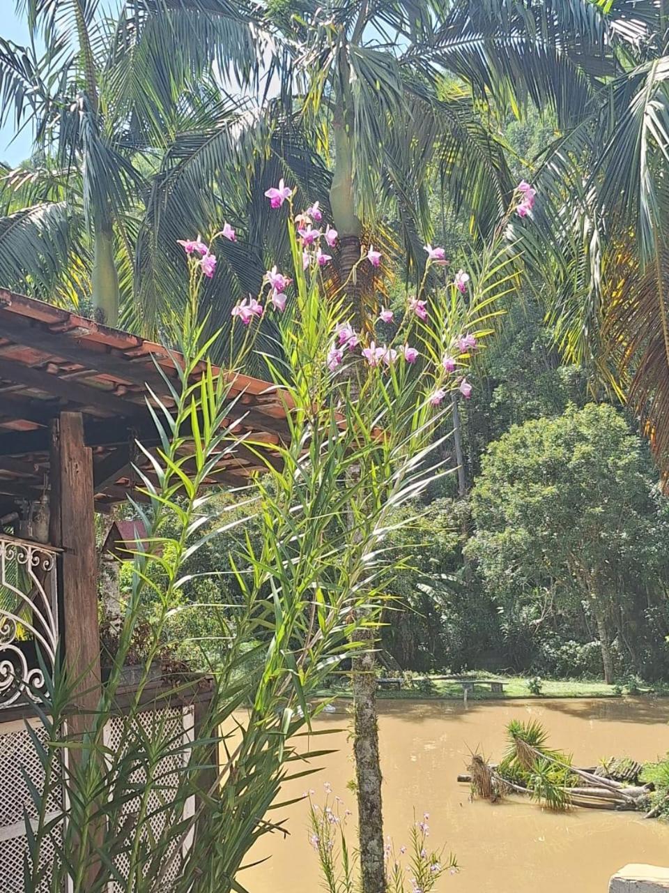 הוילה Salesópolis Chacara Ladeira De Pedra מראה חיצוני תמונה